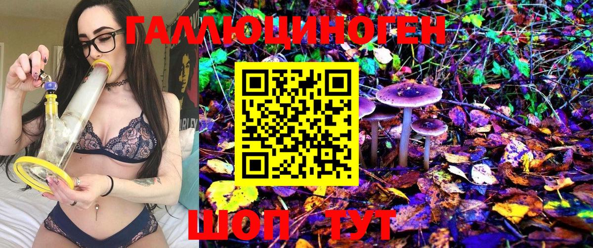 Галлюциногенные грибы Magic Shrooms  Вход с VPN  Электрогорск 